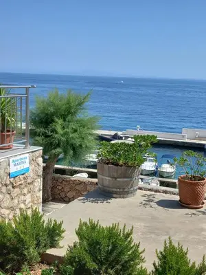 Priroda u blizini apartmana