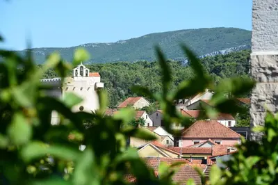 Pogled na planine ili pogled na planine iz apartmana