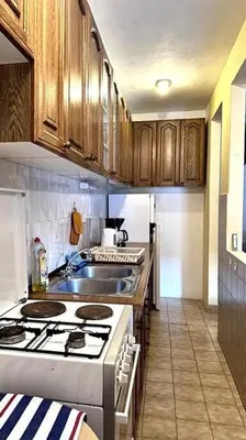 Kuhinja ili čajna kuhinja u objektu Apartment Lekse near ACI