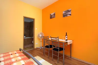 Krevet ili kreveti u jedinici u objektu Apartments with parking space Vrisnik, Hvar - 8733