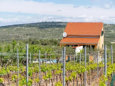 Pogled na planine ili pogled na planine iz vila