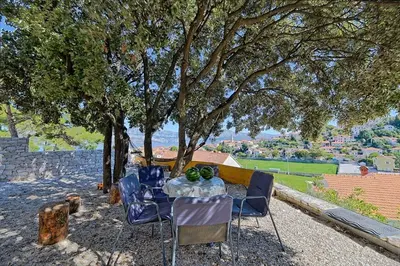 Vrt u objektu Apartments with parking spaces Postira, Brac - 22150