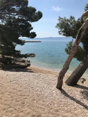 Priroda u blizini apartmana