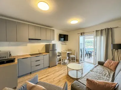 Kuhinja ili čajna kuhinja u objektu Apartments Habek 2