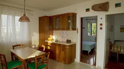 Kuhinja ili čajna kuhinja u objektu Apartments by the sea Postira, Brac - 22163