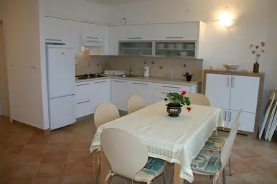 Kuhinja ili čajna kuhinja u objektu Apartments Boris