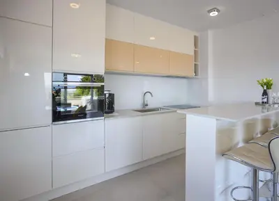 Kuhinja ili čajna kuhinja u objektu Apartments with parking space Promajna, Makarska - 22264