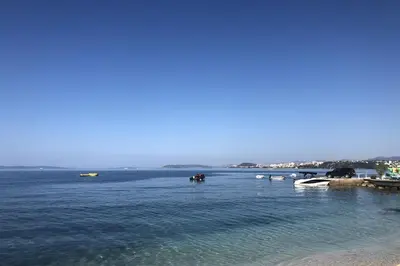 Priroda u blizini vila