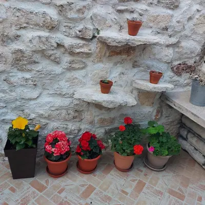 Tlocrt objekta Apartmani Nona 2
