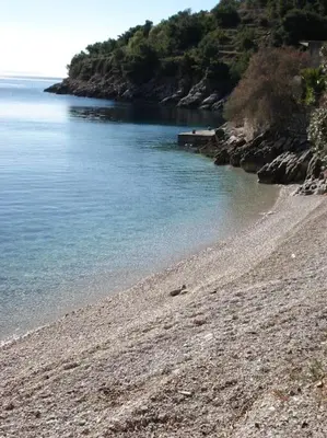 Priroda u blizini apartmana