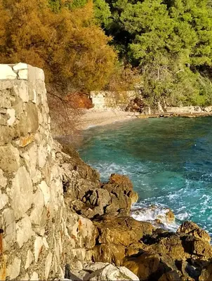 Priroda u blizini apartmana