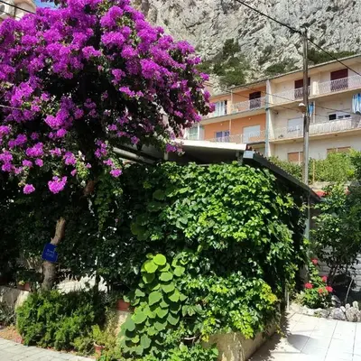 Apartments Mimi Omis