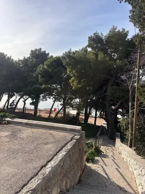 Priroda u blizini apartmana