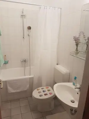 Kupaonica u objektu Apartments Podbarje