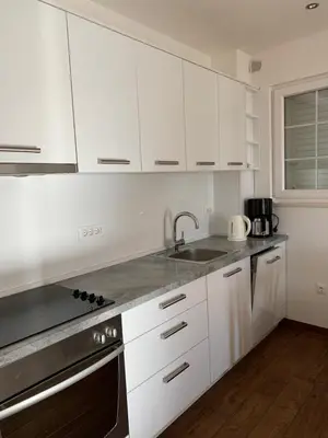Kuhinja ili čajna kuhinja u objektu Apartman Royal Lino