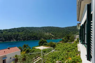 Priroda u blizini apartmana