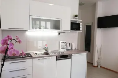Kuhinja ili čajna kuhinja u objektu Apartments Regina