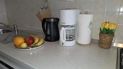 Kuhinja ili čajna kuhinja u objektu Apartments Teo 2