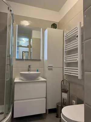 Kupaonica u objektu Apartment Vrilo