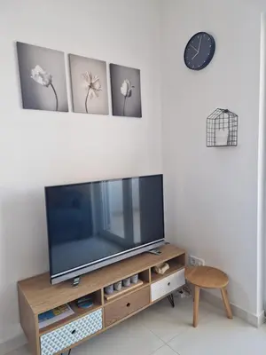 TV i/ili zabavni centar u objektu Apartman Stivanka