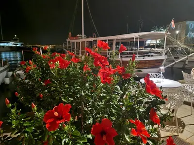 Vrt u objektu Apartman Stivanka