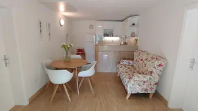 Kuhinja ili čajna kuhinja u objektu Villa FANI KANUN
