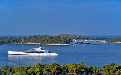 Priroda u blizini vila