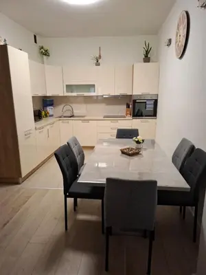 Kuhinja ili čajna kuhinja u objektu Apartman Sandra