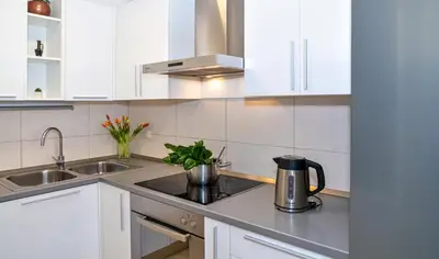 Kuhinja ili čajna kuhinja u objektu COCCO Modern Apartment Omis