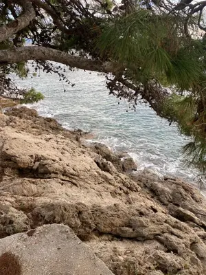 Priroda u blizini apartmana