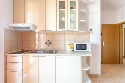 Kuhinja ili čajna kuhinja u objektu Apartments Dobrila 1