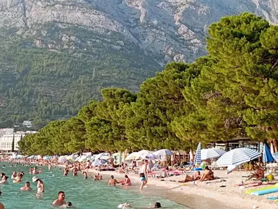Priroda u blizini apartmana