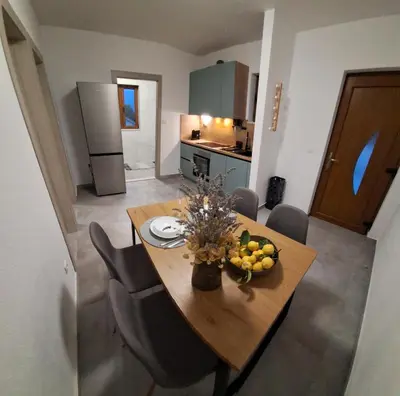 Kuhinja ili čajna kuhinja u objektu Villa Užanca