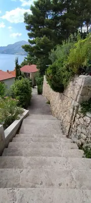 Priroda u blizini apartmana