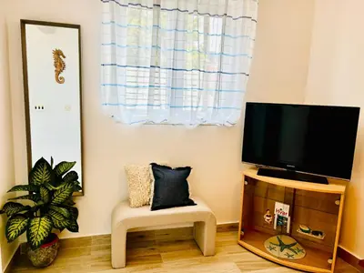 TV i/ili zabavni centar u objektu Apartment Sunny Elza 2