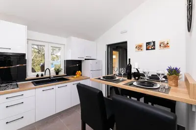 Kuhinja ili čajna kuhinja u objektu House Fani