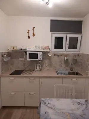 Kuhinja ili čajna kuhinja u objektu IvKa