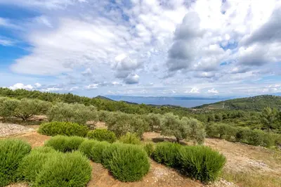 Priroda u blizini vila