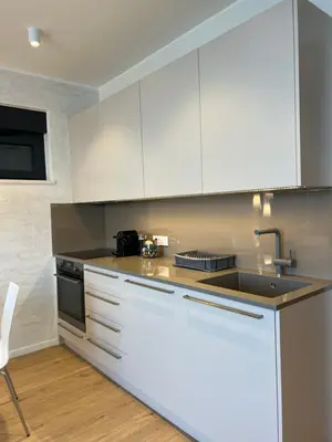 Kuhinja ili čajna kuhinja u objektu Infinity N5 Villa Brzet