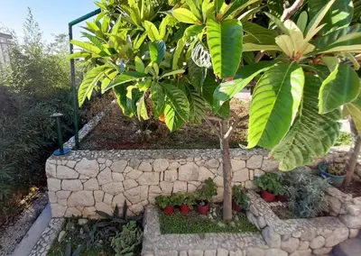 Vrt u objektu Apartments with parking space Brela, Makarska - 18417
