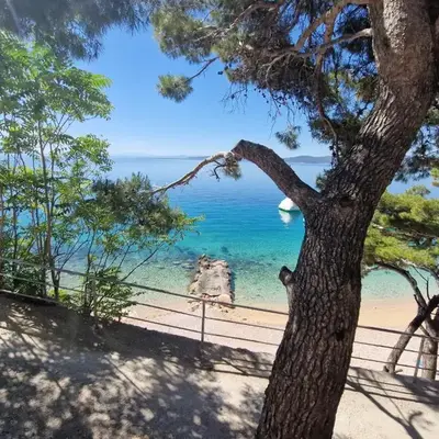 Bluetique Beach Apartments