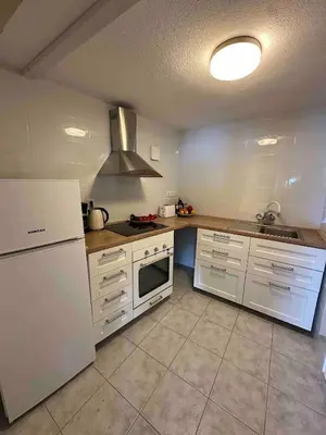 Kuhinja ili čajna kuhinja u objektu House Bepo