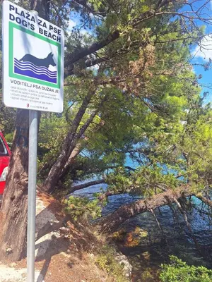 Priroda u blizini apartmana