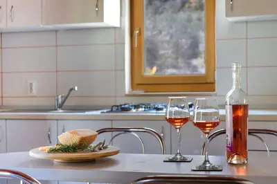 Pića u objektu House Irena