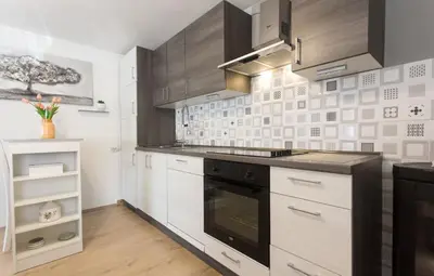 Kuhinja ili čajna kuhinja u objektu Holiday home Jelena with private pool