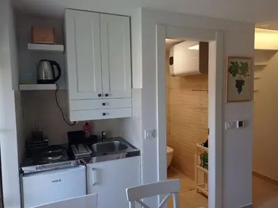 Kuhinja ili čajna kuhinja u objektu Apartments with WiFi Pitve, Hvar - 22114