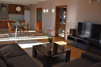 TV i/ili zabavni centar u objektu Armonia Spacious Apartment