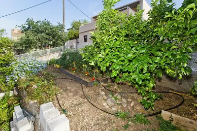 Vrt u objektu Apartments with parking space Hvar - 23410