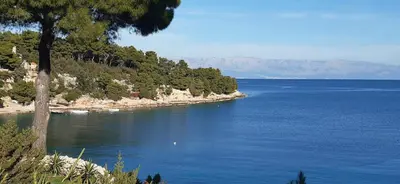 Priroda u blizini vila
