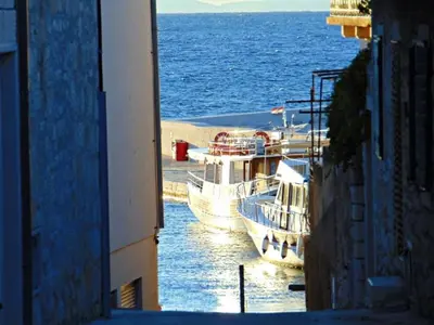 Priroda u blizini apartmana